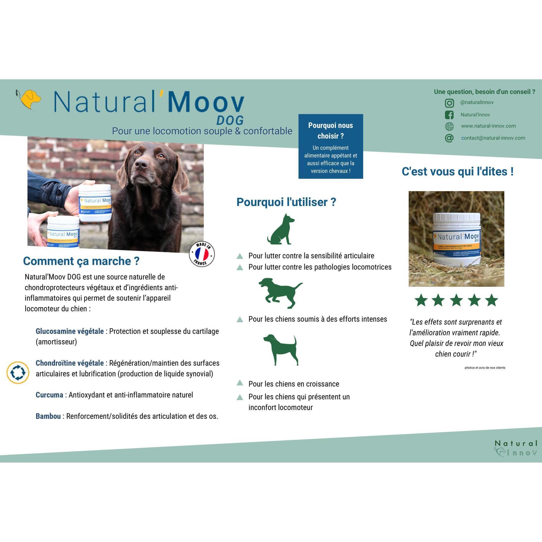 Przeciwzapalny suplement diety dla psów Natural Innov Natural'Moov - 200 g