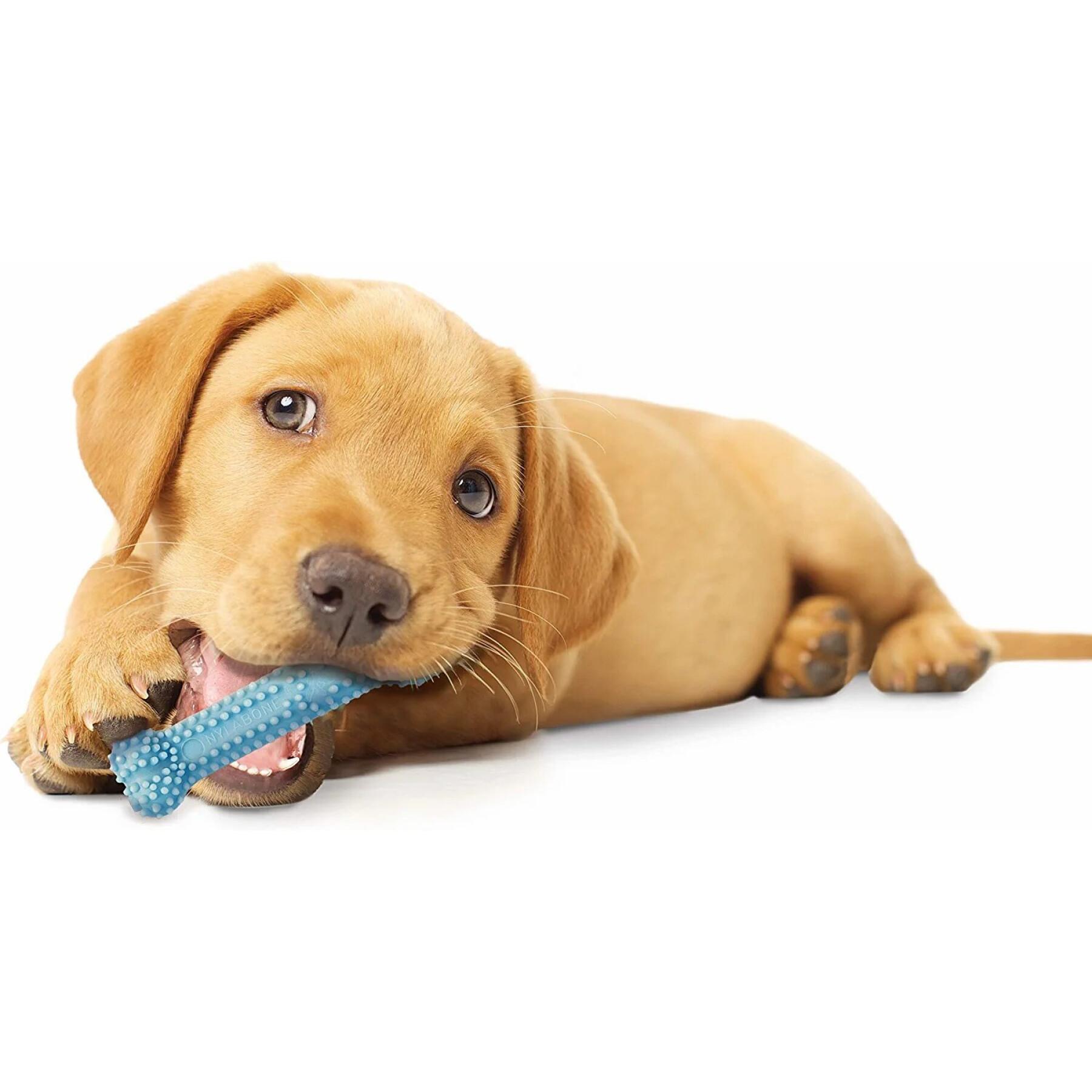 Zabawka dla psa Nylabone Puppy Teething Dental Chew - Pink Chicken XS