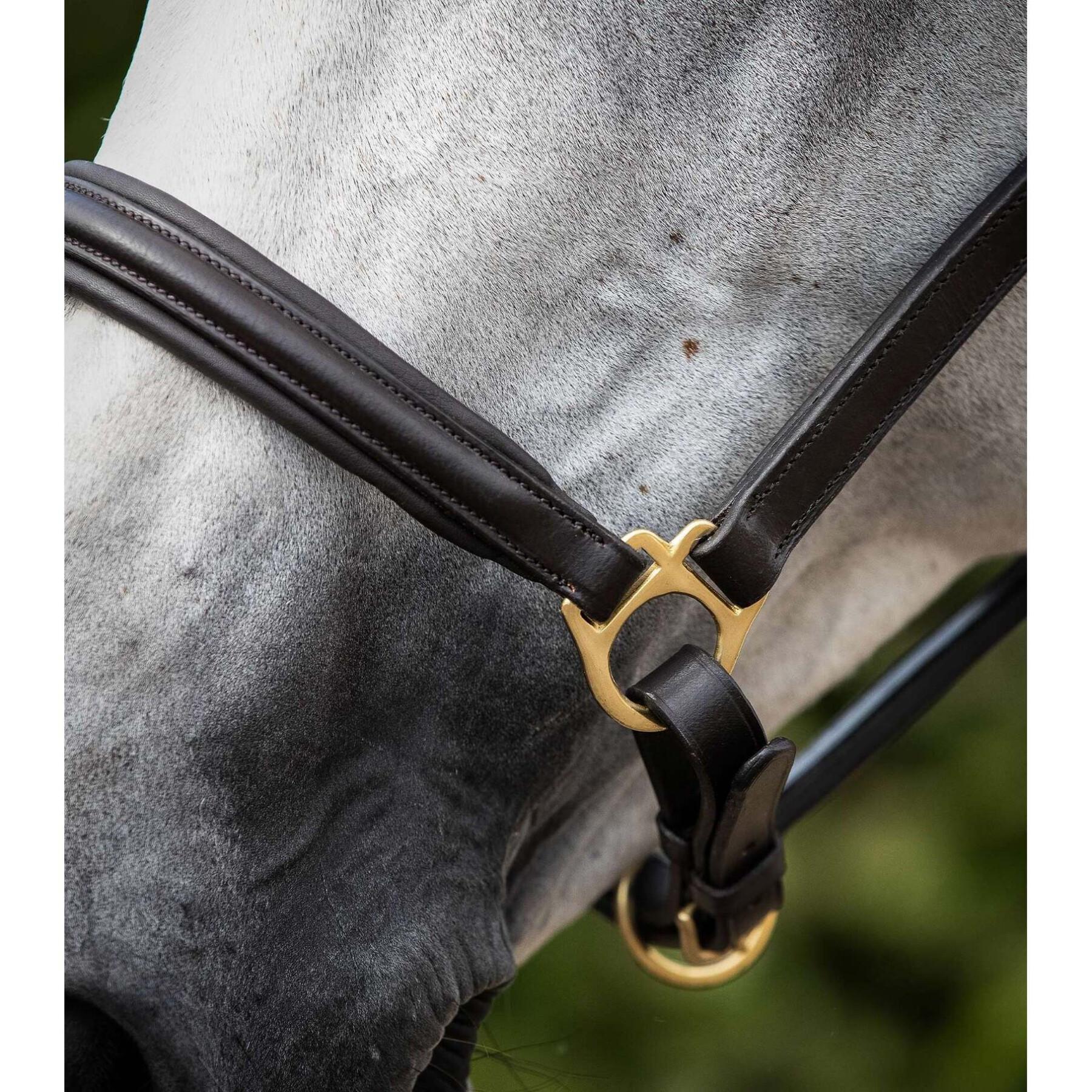 Skórzana wyściełana haltera dla koni Premier Equine