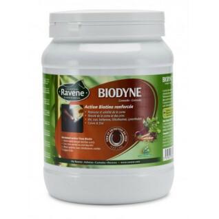 Suplement diety dla koni Ravene Biodyne
