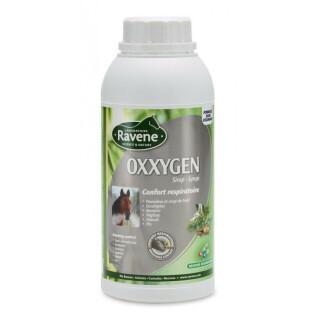 Suplement diety na drogi oddechowe dla koni oxxygen Ravene