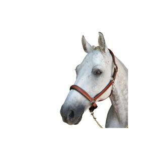 Halter dla koni Lexington Denver