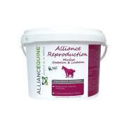 Mineralny dodatek paszowy dla klaczy Alliance Equine Alliance Reproduction