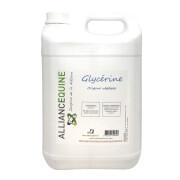 Glicerynowy suplement diety Alliance Equine