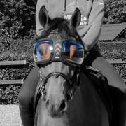 Zapasowe soczewki do okularów dla koni eQuick eVysor