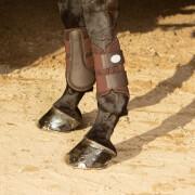 Ochraniacze kolan dla koni Harry's Horse Beenbeschermers Flextrainer Air mesh