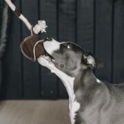 Zabawka dla psa z bawełnianym sznurem Kentucky