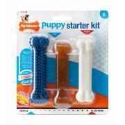 Zestaw 3 zabawek dla psów Nylabone Puppy Starter Kit - 1 Puppybone Chicken / 1 Extreme Chew Chicken / 1 Dental Blue S