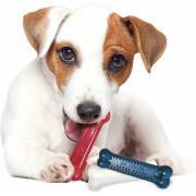 Zabawka dla psa Nylabone Small Dog Dental Blue Chew - Bacon Chicken / Moderate Chew Origin XS