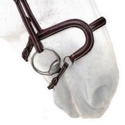 Płaski skórzany pasek na nos konia Silver Crown H Classique